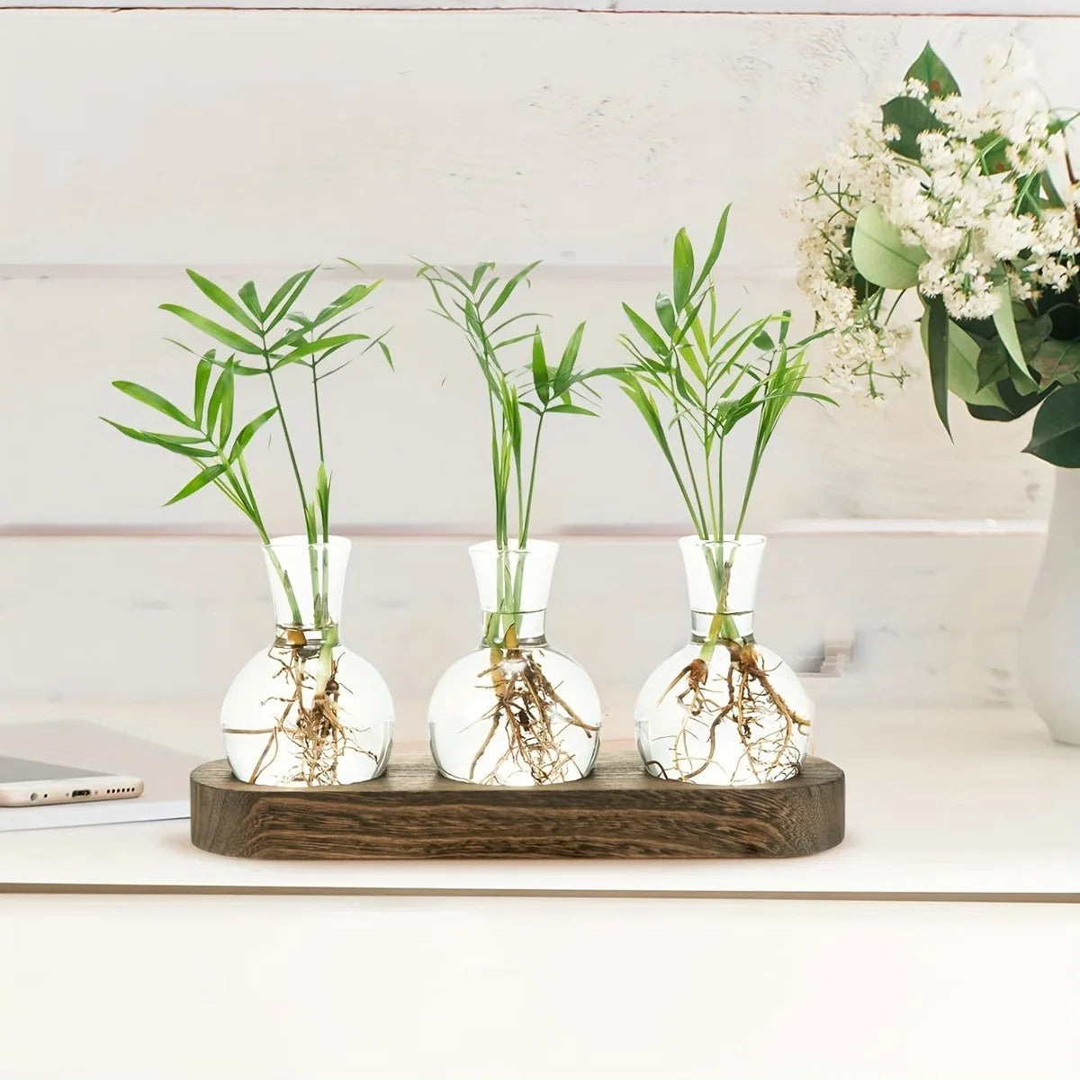 Plant Propagation Vase