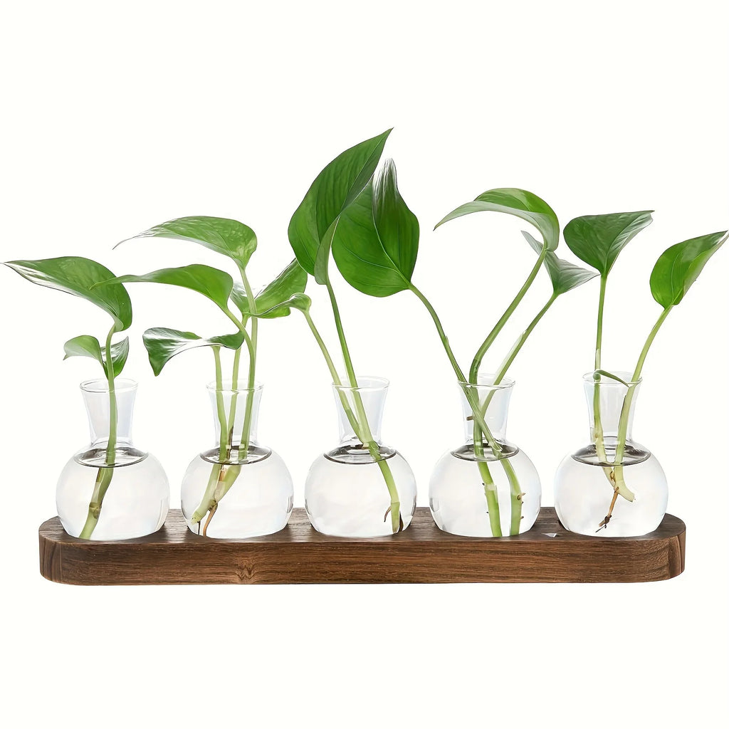 Plant Propagation Vase