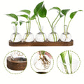 Plant Propagation Vase