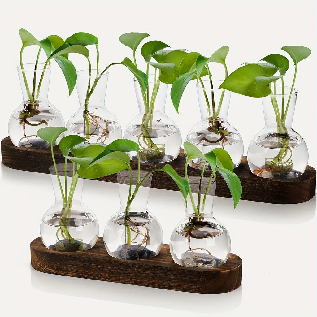 Plant Propagation Vase