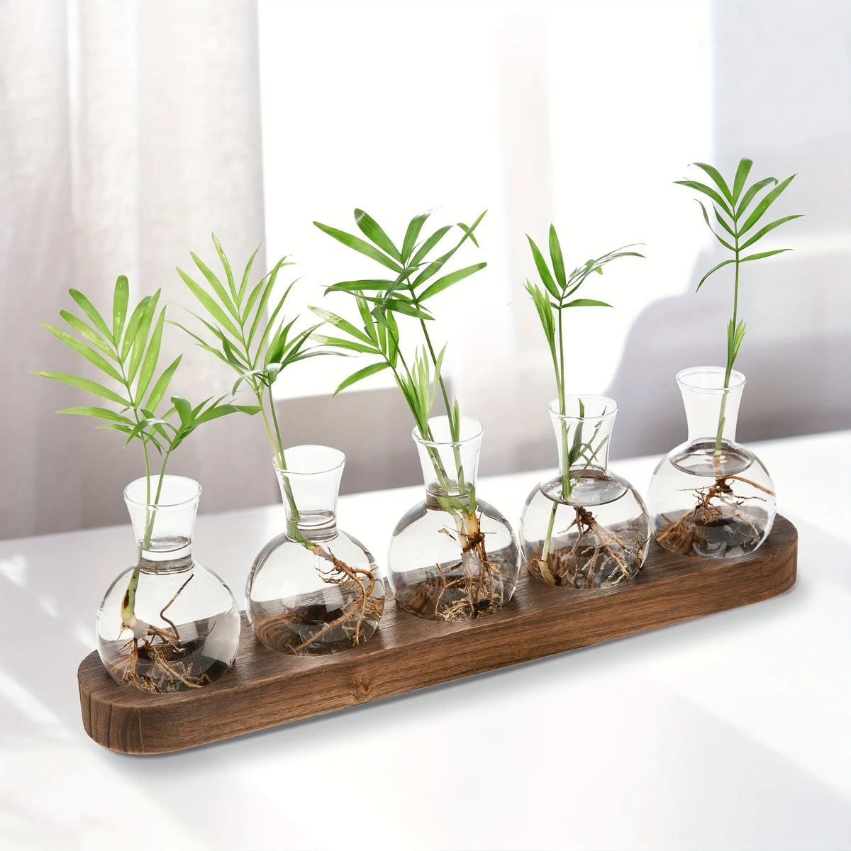 Plant Propagation Vase