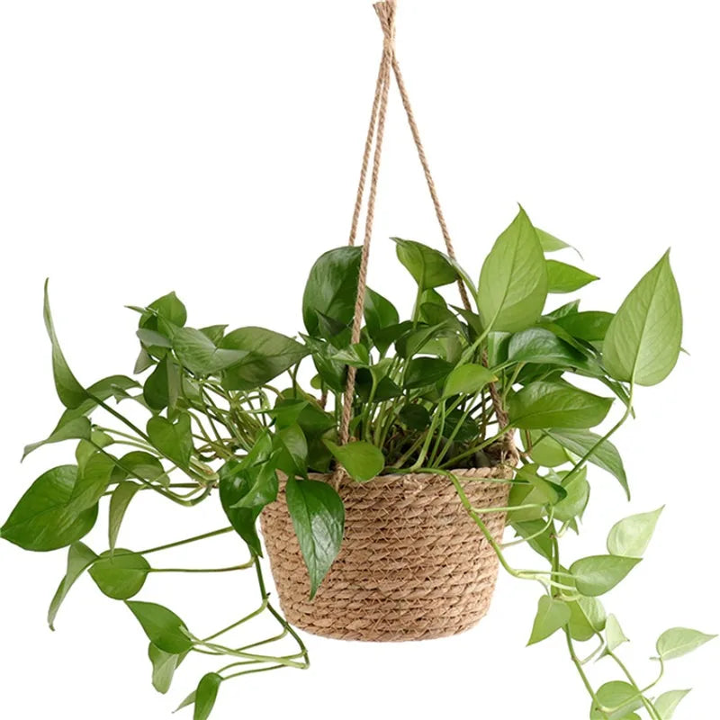 Macrame Hanging Planter Basket