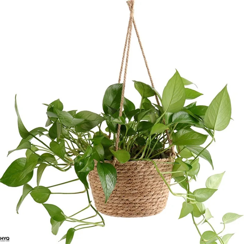 Macrame Hanging Planter Basket