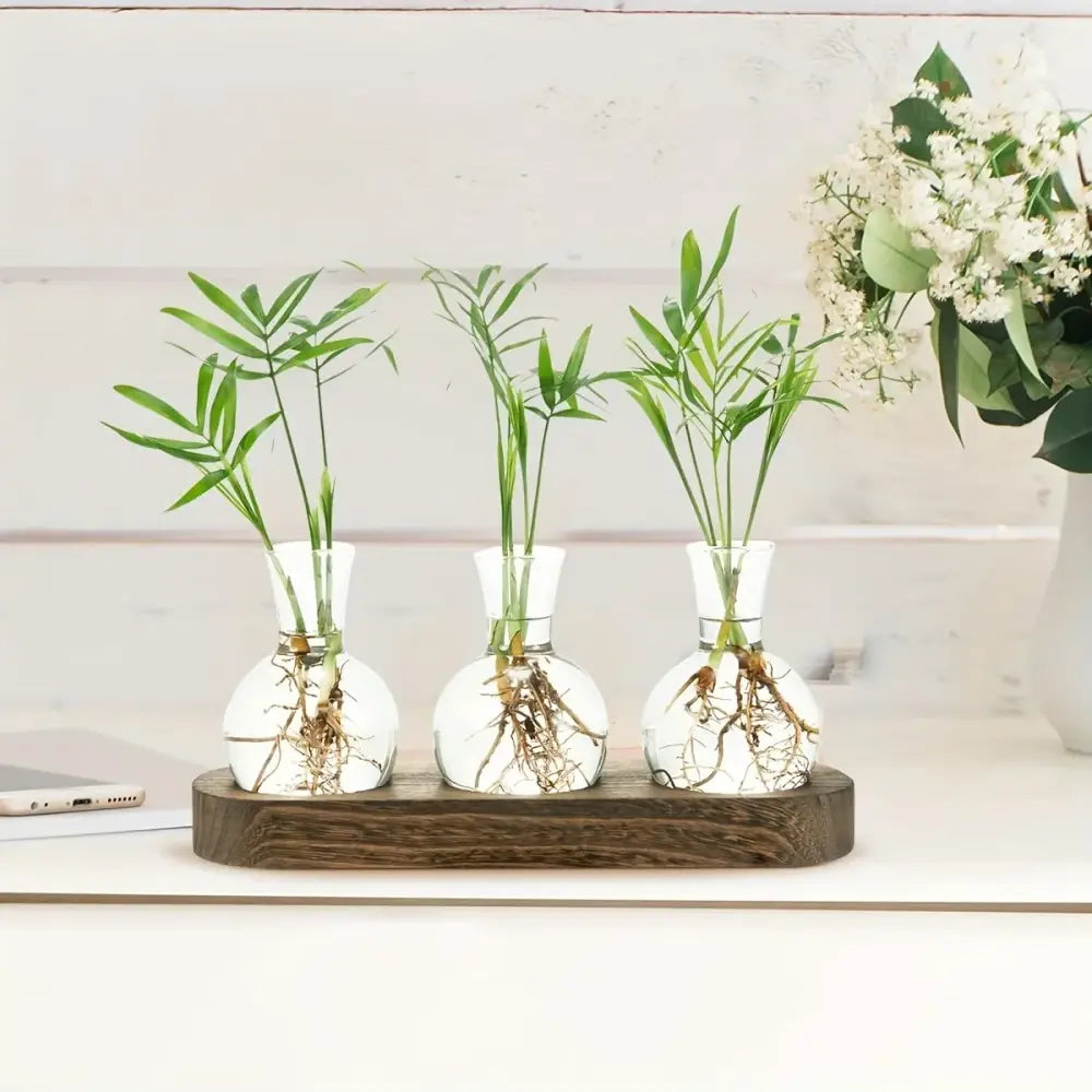 Plant Propagation Vase - Plant & nature decor